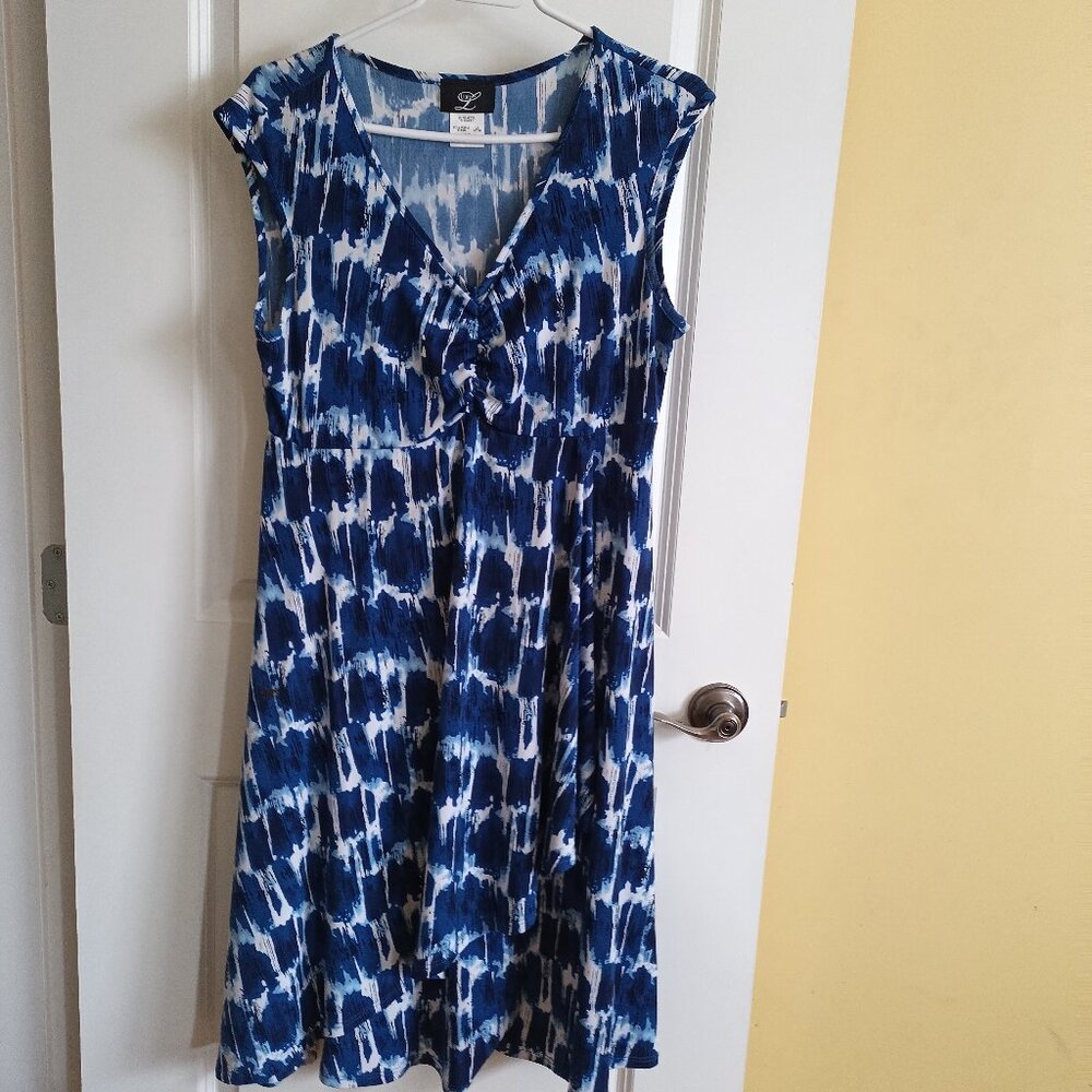 Libra Women's Sleeveless V-Neck Dress Size Large